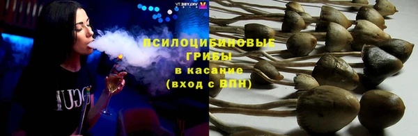 прущий лед Алексин
